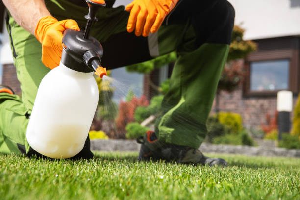 Reliable Washington, DC Pest Control Solutions